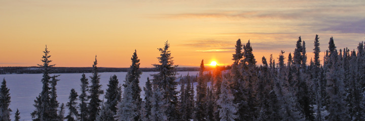 Sunrise Over Snow Covered Trees in Yellowknife